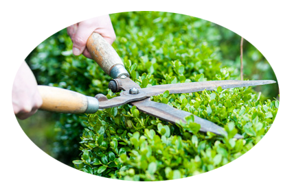 Gartenarbeit